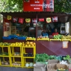 dsc00346