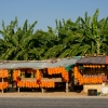 dsc00621