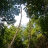 dsc00646