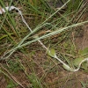 dsc00806