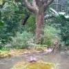 dsc00908