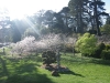 imgp0756